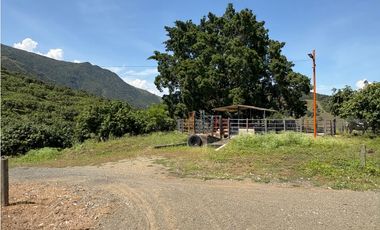 VENTA FINCA, BETULIA SUROESTE ANTIOQUEÑO