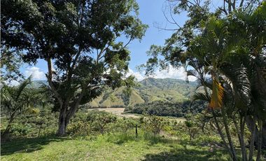 VENTA FINCA, BETULIA SUROESTE ANTIOQUEÑO