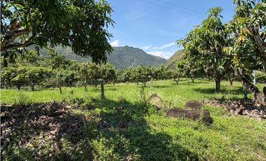 VENTA FINCA, BETULIA SUROESTE ANTIOQUEÑO