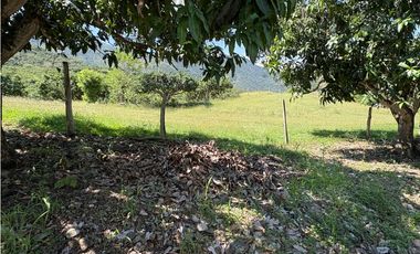 VENTA FINCA, BETULIA SUROESTE ANTIOQUEÑO