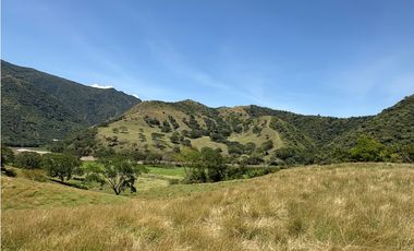 VENTA FINCA, BETULIA SUROESTE ANTIOQUEÑO