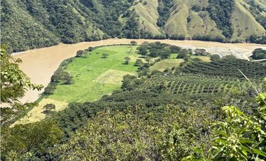 VENTA FINCA, BETULIA SUROESTE ANTIOQUEÑO