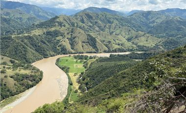 VENTA FINCA, BETULIA SUROESTE ANTIOQUEÑO