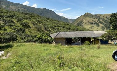 VENTA FINCA, BETULIA SUROESTE ANTIOQUEÑO