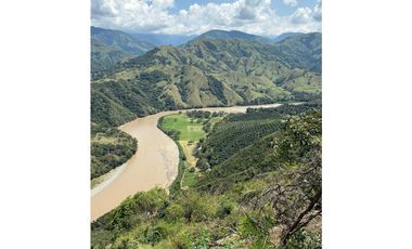 VENTA FINCA, BETULIA SUROESTE ANTIOQUEÑO