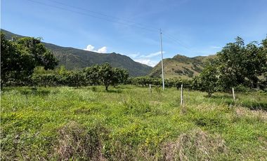 VENTA FINCA, BETULIA SUROESTE ANTIOQUEÑO