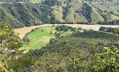 VENTA FINCA, BETULIA SUROESTE ANTIOQUEÑO