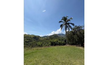 VENTA FINCA, BETULIA SUROESTE ANTIOQUEÑO