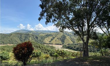 VENTA FINCA, BETULIA SUROESTE ANTIOQUEÑO