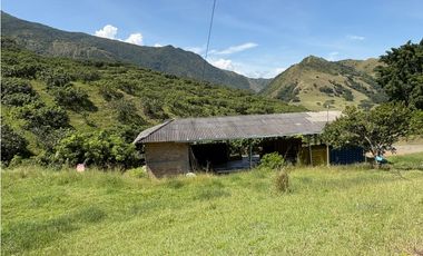 VENTA FINCA, BETULIA SUROESTE ANTIOQUEÑO