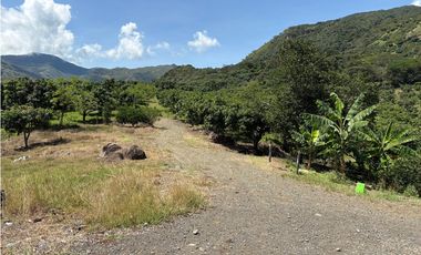 VENTA FINCA, BETULIA SUROESTE ANTIOQUEÑO