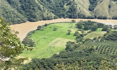 VENTA FINCA, BETULIA SUROESTE ANTIOQUEÑO