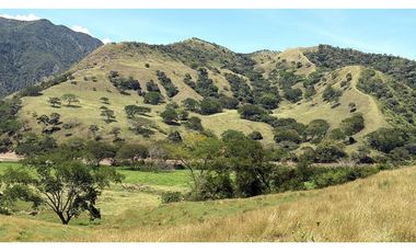 VENTA FINCA, BETULIA SUROESTE ANTIOQUEÑO