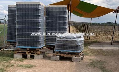 TERRENO EN VENTA EN TEQUISQUIAPAN. Pascual