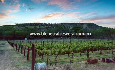 TERRENO EN VENTA EN TEQUISQUIAPAN. Pascual