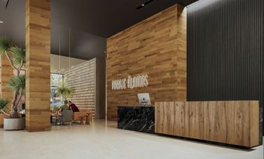 Preventa de Departamento en Alamos