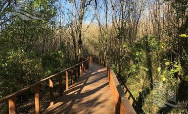 Venta - Departamento, 2/Dos Ambientes, Balcón - Venice, Tigre