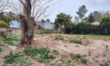 Terreno - Vicente Casares