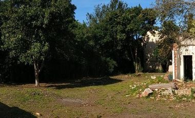 Terreno - Vicente Casares