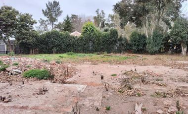 Terreno - Vicente Casares