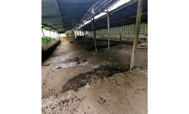 Venta Finca Barbosa Antioquia