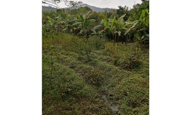 Venta Finca Barbosa Antioquia