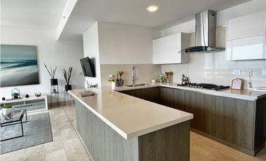 SE VENDE APARTAMENTO EN COCO DEL MAR PH PANORAMA