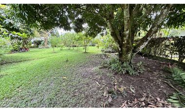 TERRENO EN EL VALLE DE ANTON