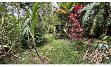 TERRENO EN EL VALLE DE ANTON
