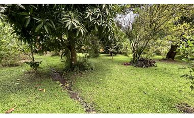 TERRENO EN EL VALLE DE ANTON