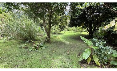 TERRENO EN EL VALLE DE ANTON