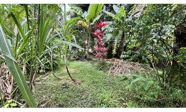TERRENO EN EL VALLE DE ANTON