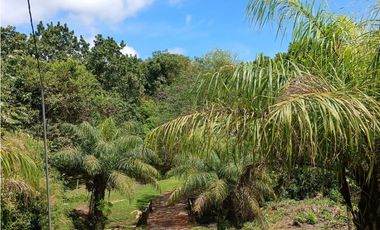 EL COPECITO / SAN CARLOS / 956 M / VISTA AL MAR / AG
