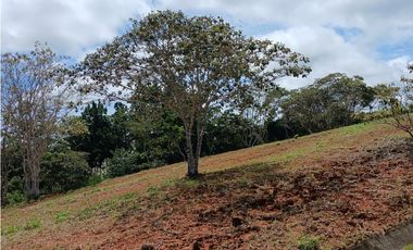 EL COPECITO / SAN CARLOS / 956 M / VISTA AL MAR / AG