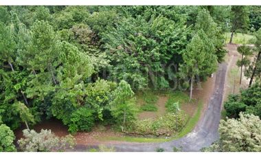 Se Vende bello Lote de Esquina con Manantial en Altos del Maria