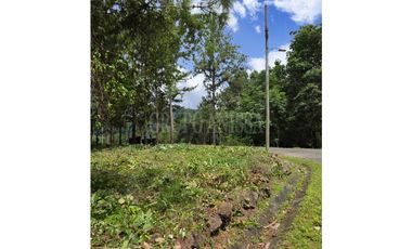 Se Vende bello Lote de Esquina con Manantial en Altos del Maria