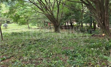 Se Vende bello Lote de Esquina con Manantial en Altos del Maria