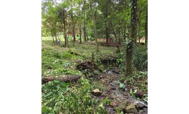 Se Vende bello Lote de Esquina con Manantial en Altos del Maria