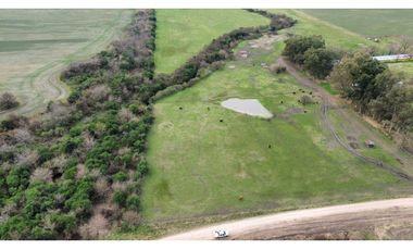 Vendo Campo de 13 Hectáreas en San Justo, Entre Ríos.