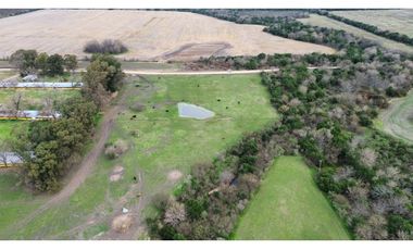 Vendo Campo de 13 Hectáreas en San Justo, Entre Ríos.