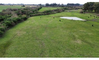 Vendo Campo de 13 Hectáreas en San Justo, Entre Ríos.