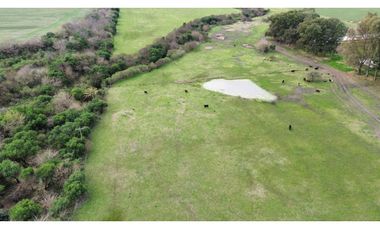 Vendo Campo de 13 Hectáreas en San Justo, Entre Ríos.