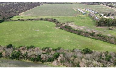 Vendo Campo de 13 Hectáreas en San Justo, Entre Ríos.