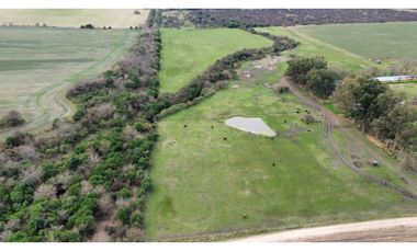 Vendo Campo de 13 Hectáreas en San Justo, Entre Ríos.