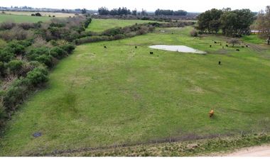 Vendo Campo de 13 Hectáreas en San Justo, Entre Ríos.
