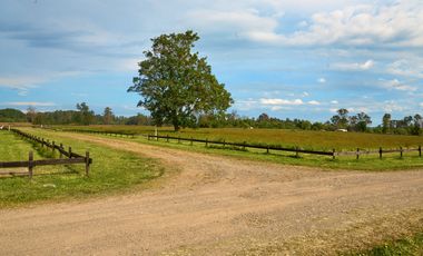 Parcela en venta en OSORNO