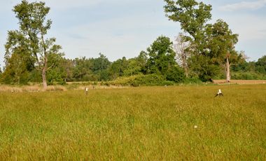 Parcela en venta en OSORNO