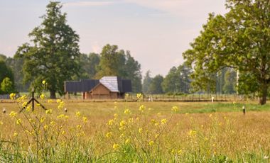 Parcela en venta en OSORNO