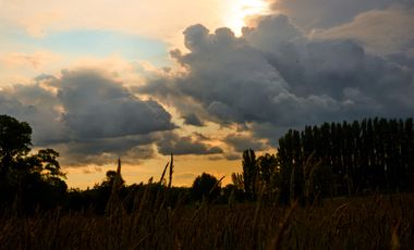 Parcela en venta en OSORNO