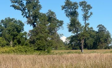 Parcela en venta en OSORNO